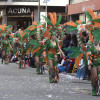 Desfile del Entroido en Pontevedra 2017 (I)