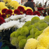 Mercado de flores en Vilagarcía
