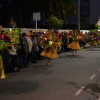 Desfile del Carnaval 2016 (III)