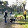 Inauguración do parque canino de Monte Porreiro