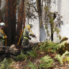 Extinguen na Caeira un incendio forestal
