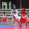 XX Torneo Cidade de Pontevedra de Taekwondo