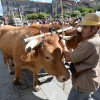 Feira Franca 2024