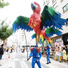 Batalla de Flores de las Festas da Peregrina 2024