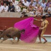 Feira da Peregrina 2024