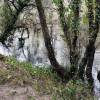 Dispositivo de busca polo río Umia dun home de 77 anos desaparecido en Caldas