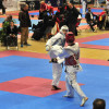 Campionato de España Júnior de Taekwondo