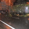 Efectos del temporal Dirk en Nochebuena en Pontevedra