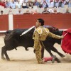 Feira da Peregrina 2024