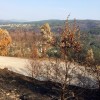 Montes quemados en la comarca de Pontevedra después de los incendios de agosto