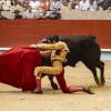 Feira da Peregrina 2024