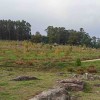 Parque Etnoarqueolóxico das Cabanas Prehistóricas de Outeiro das Mouras, en Salcedo