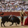 Feria de la Peregrina 2024