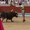 Feira da Peregrina 2024