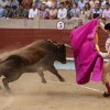 Feira da Peregrina 2024