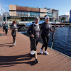 Entrenamiento del equipo de Dragon Boat BCS Libélulas