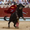 Feira da Peregrina 2024