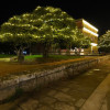 Iluminación de Nadal nos edificios da Deputación de Pontevedra
