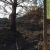 Montes queimados na comarca de Pontevedra despois dos incendios de agosto
