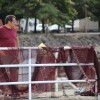 Celebración de la Recalada en el muelle de Arcade