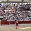 Feira da Peregrina 2024