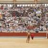 Feira da Peregrina 2024