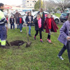 Los escolares del Marcos da Portela plantan árboles con el compost de Monte Porreiro