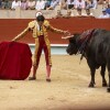 Feira da Peregrina 2024