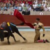 Feira da Peregrina 2024