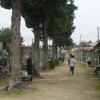 Arreglos de tumbas en el cementerio de San Amaro