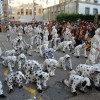 Defile del Carnaval 2015 en Pontevedra (IV)
