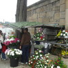 Venda de flores ás portas do cemiterio de San Amaro