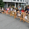 Batalla de Flores de las Festas da Peregrina 2024