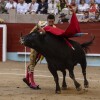 Feira da Peregrina 2024