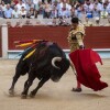 Feria de la Peregrina 2024