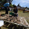 Jornada del domingo en la 37 Festa do Viño de Barro