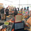 I Festa dos Libros de Pontevedra