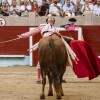 Feria de la Peregrina 2024