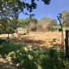 Segunda cosecha en la plantación de Panadería Acuña en Lalín