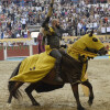 Torneo Medieval