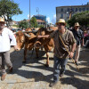 Feira Franca 2024