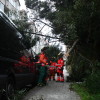 Intervención dos bombeiros por unha árbore caída en Losada Diéguez