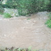Enchente do río Gafos