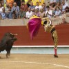 Feira da Peregrina 2024