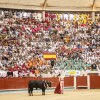 Feira da Peregrina 2024