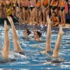 Campeonato Gallego de Base de Natación Sincronizada en la piscina de Pontemuiños