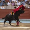 Feira da Peregrina 2024