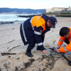 Chegada dos primeiros 'pellets' á praia do Cabo de Lourizán