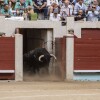 Feria de la Peregrina 2024