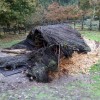 Cabaña pequeña derribada en diciembre de 2019 en el poblado de la Edad de Bronce
